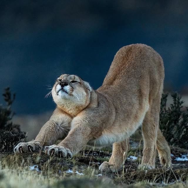  ......fervor   'recent posts' 