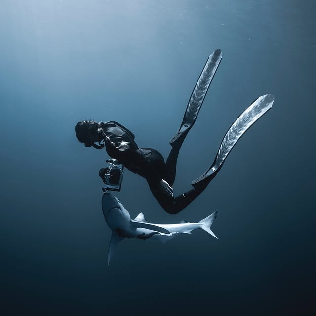  ......uecoast   'recent posts' 