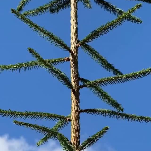  .....ature   'recent posts' 