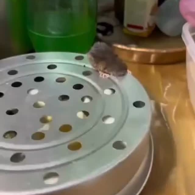  ........versgram   'recent posts' 