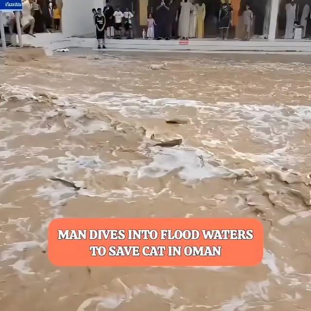  ......ureshub   'recent posts' 