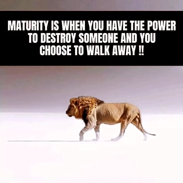  .....essity   'recent posts' 