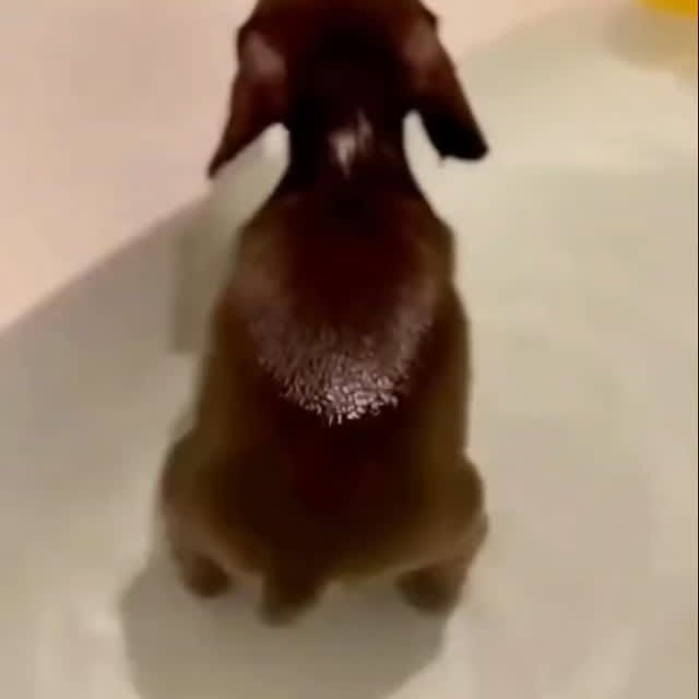  .......malshow   'recent posts' 