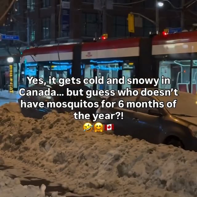  ........ftoronto   'recent posts' 