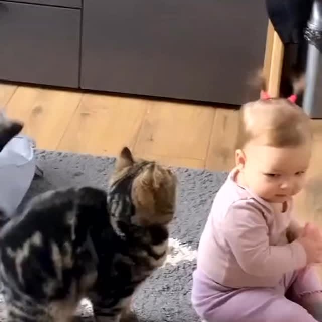  ......e.hacks   'recent posts' 