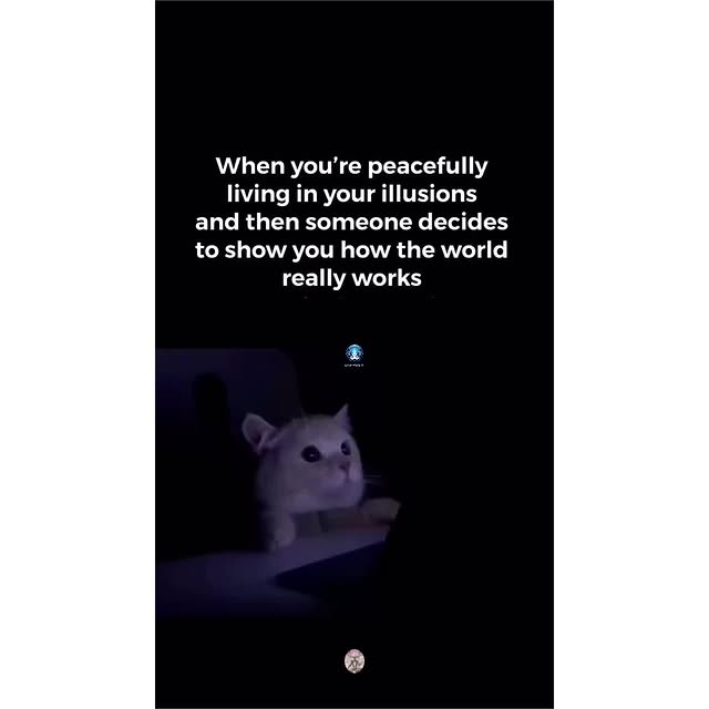  .....light   'recent posts' 