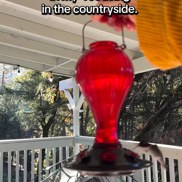  ......_diana   'recent posts' 