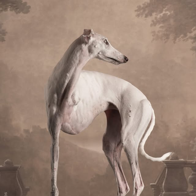  ..........hotography   'recent posts' 