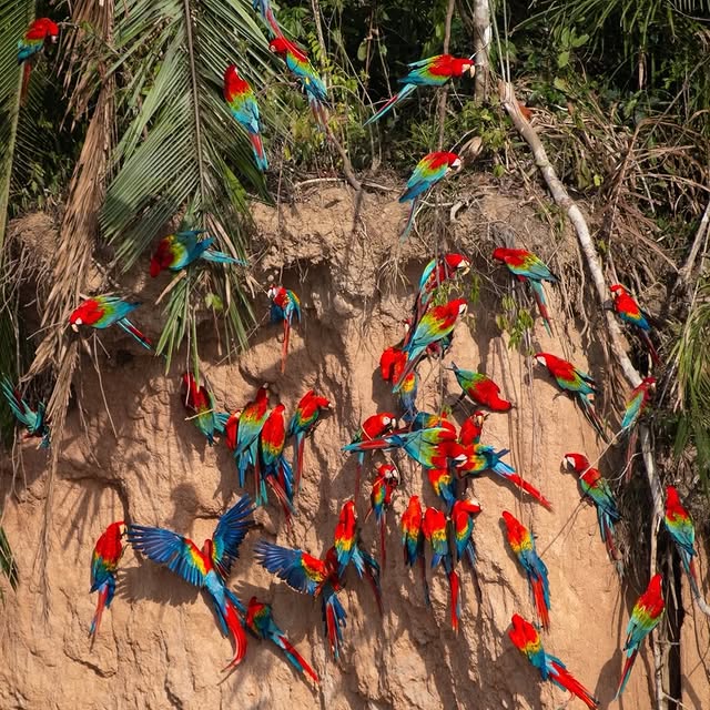  .......refervor   'recent posts' 