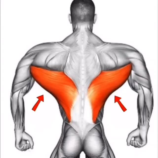  .....dgains   'recent posts' 