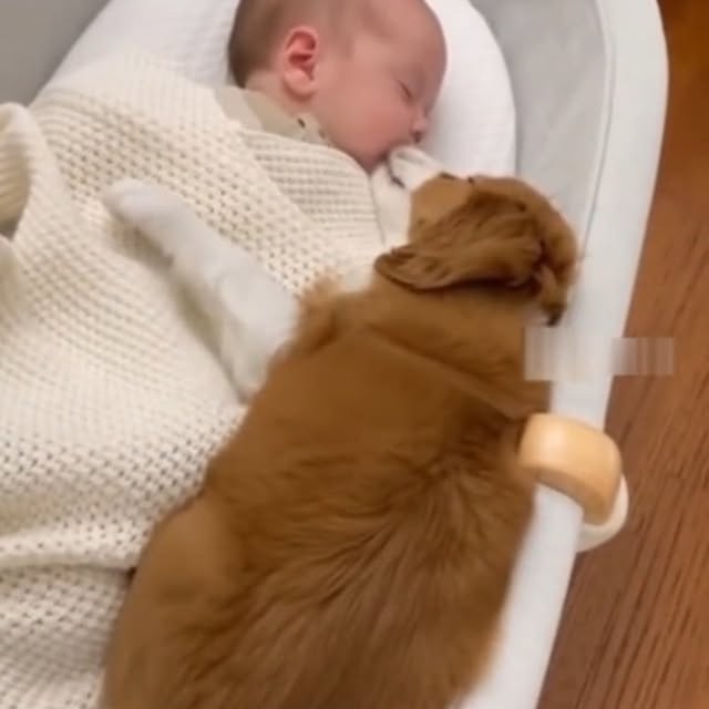  .....sland   'recent posts' 