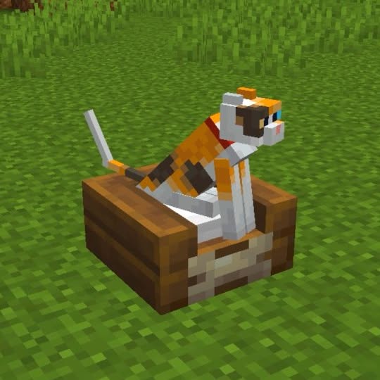  ......ccortos   'recent posts' 