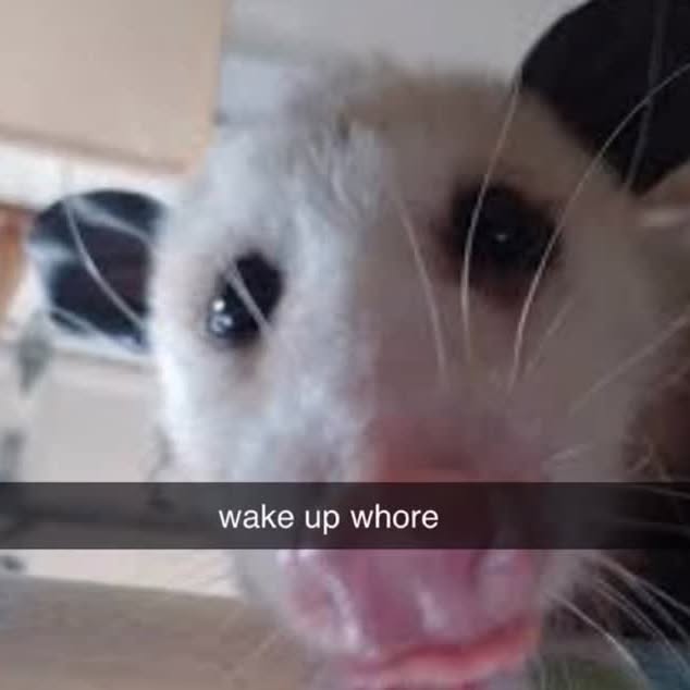  ......mthings   'recent posts' 