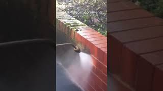  ..... Away  'recent videos' 