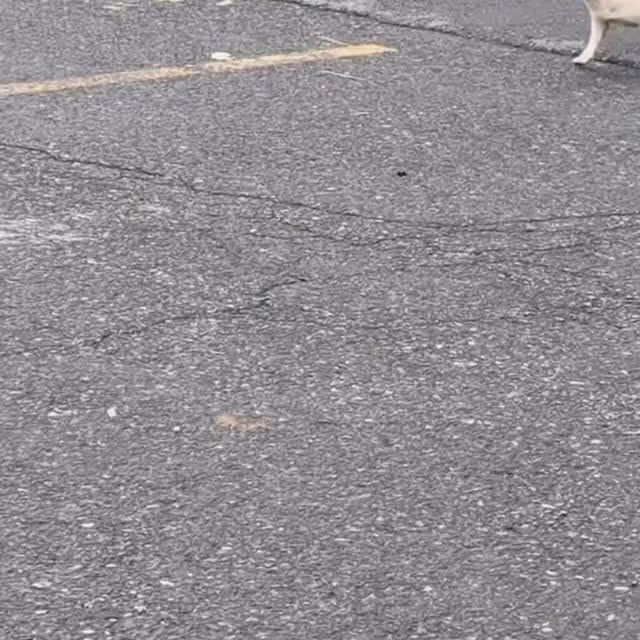  ......imalshq   'recent posts' 