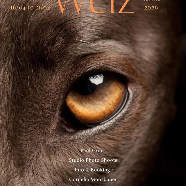  ..........hotography   'recent posts' 