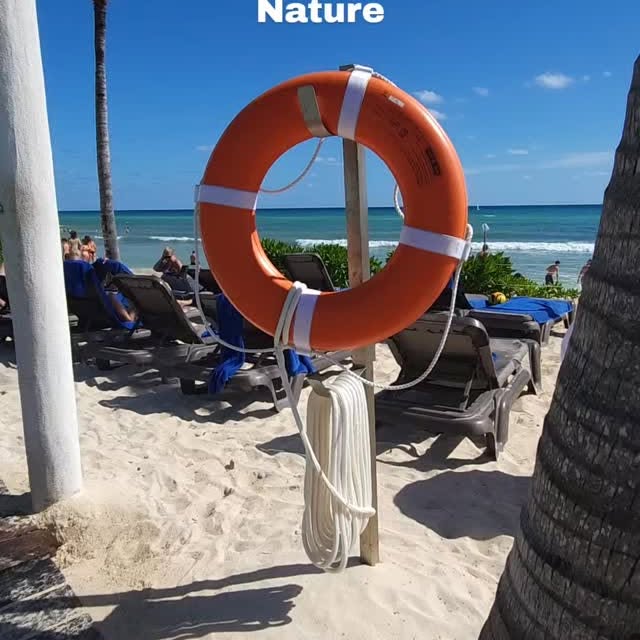  .......zenworld   'recent posts' 