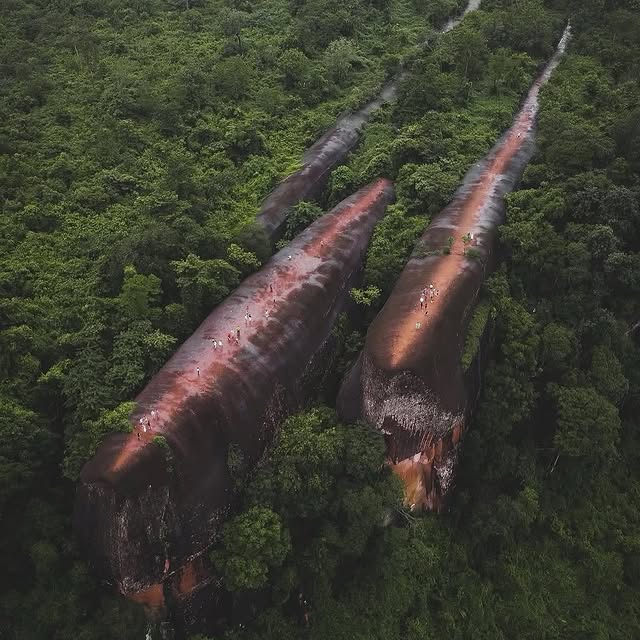  ......fervor   'recent posts' 