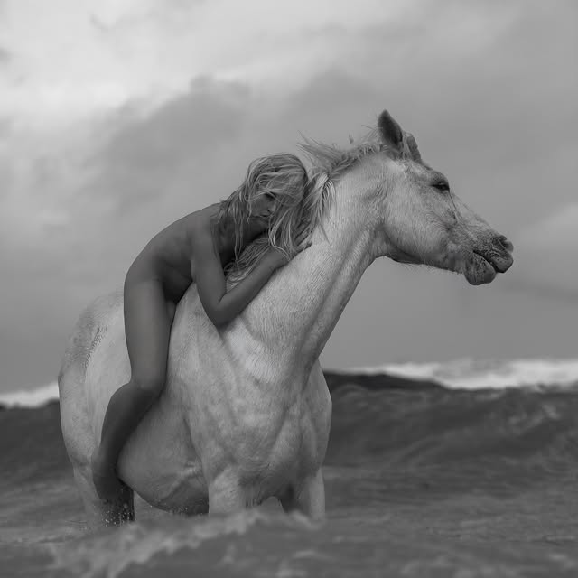  .......vemorton   'recent posts' 