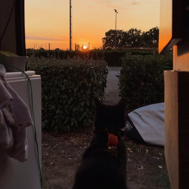  ....iseme   'recent posts' 