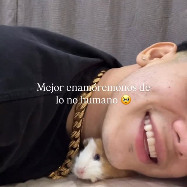  ........del_exito   'recent posts' 