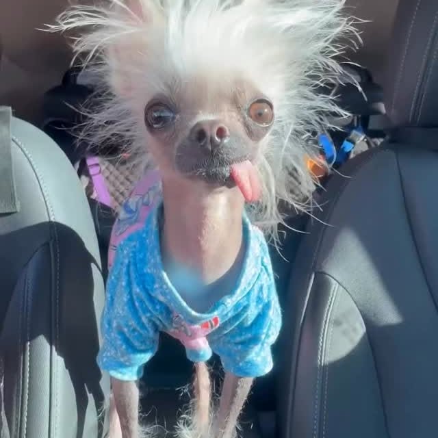  ........astiming   'recent posts' 