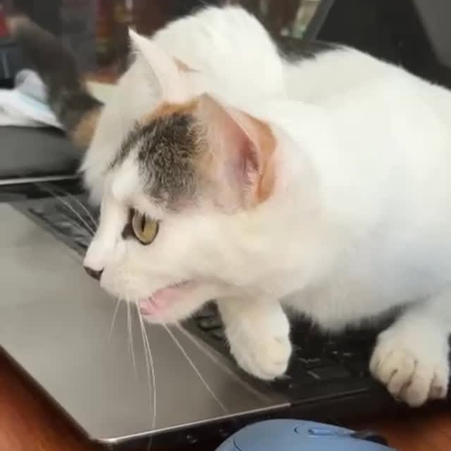  ......kekkek   'recent posts' 