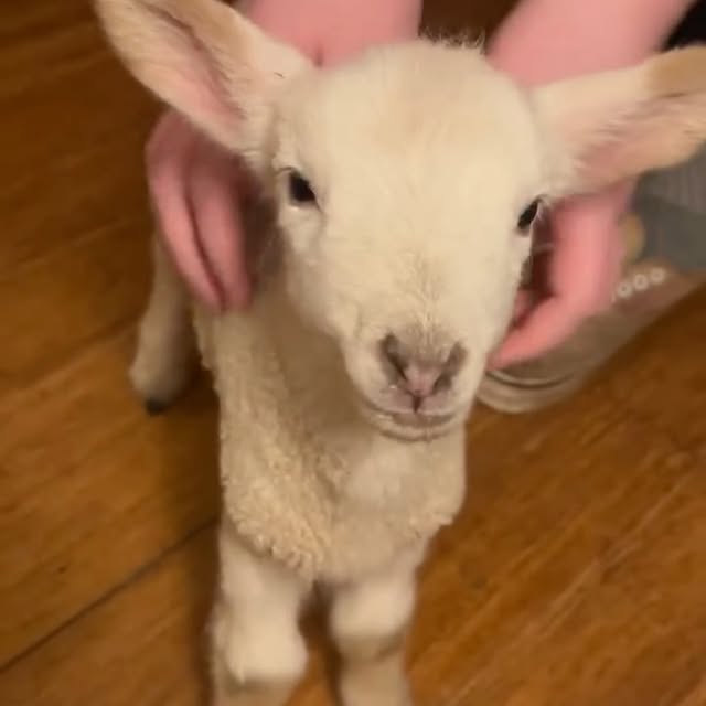  ...urre   'recent posts' 