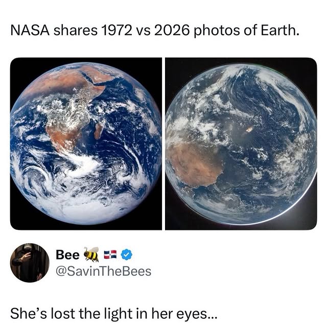  .....memes   'recent posts' 