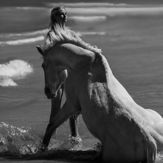  .......vemorton   'recent posts' 