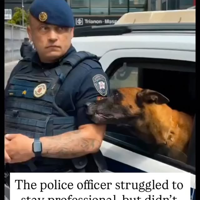  ....s.acc   'recent posts' 