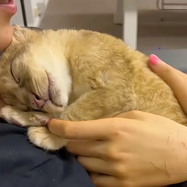  ...urre   'recent posts' 