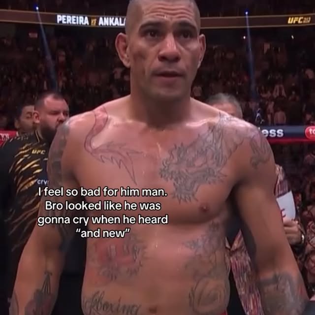  .......rchive_   'recent posts' 