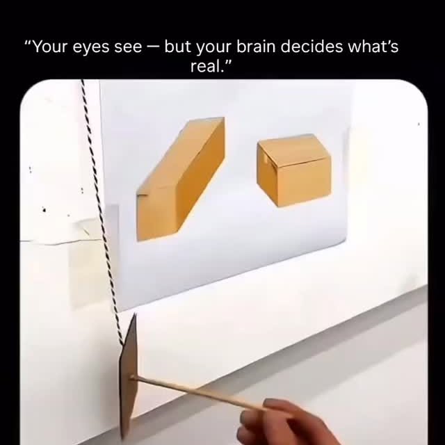  .......kyfacts   'recent posts' 