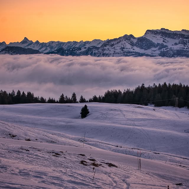  .........rancaises   'recent posts' 