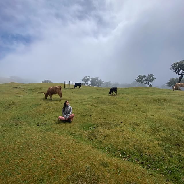  .......nardilli   'recent posts' 