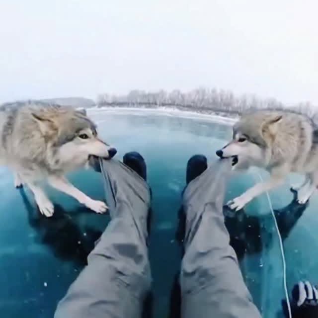  .......xplores   'recent posts' 