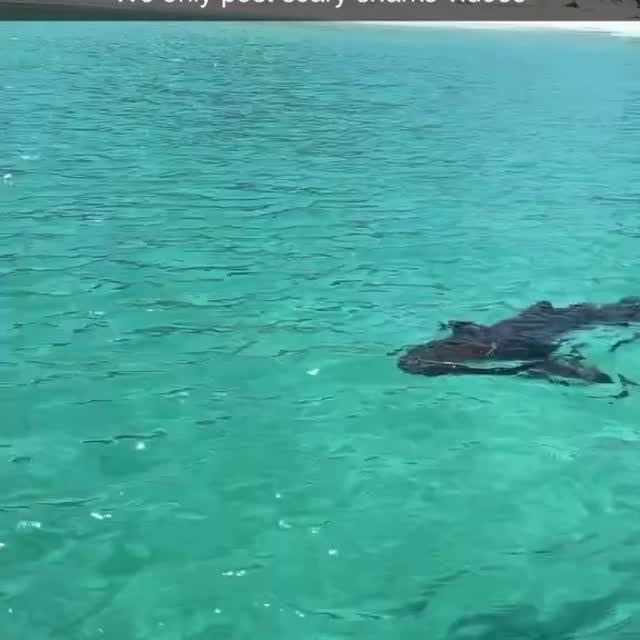  .........arkattacks   'recent posts' 