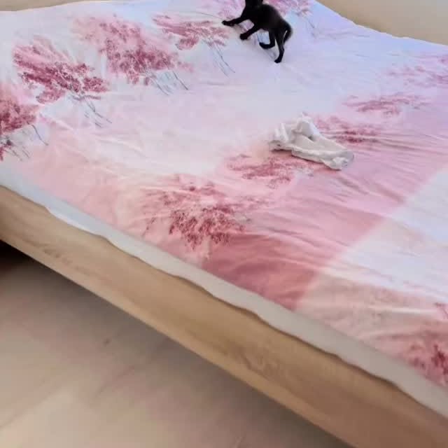  .......ats_club   'recent posts' 