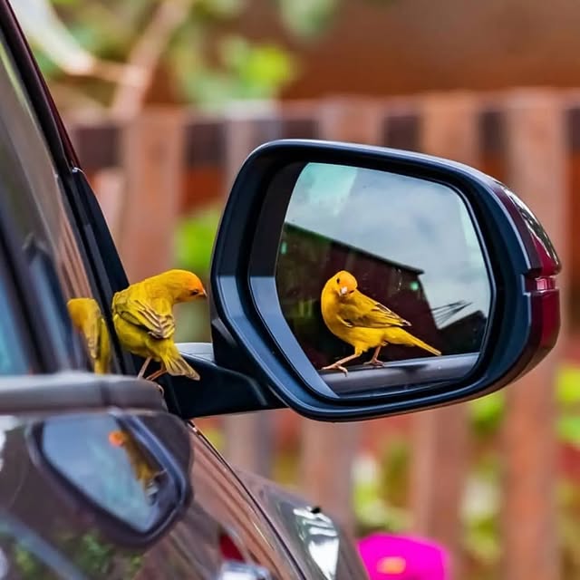  ......entpix   'recent posts' 