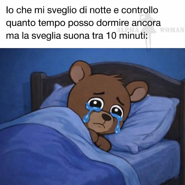  ..........n_official   'recent posts' 