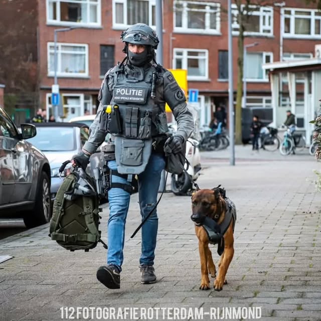  ........ieteamnl   'recent posts' 