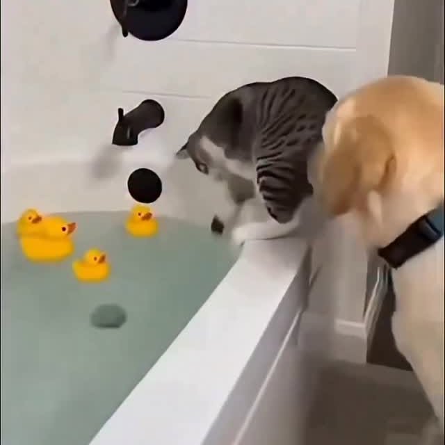  ......orable   'recent posts' 