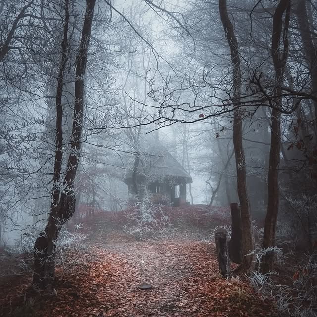  ........vacations   'recent posts' 