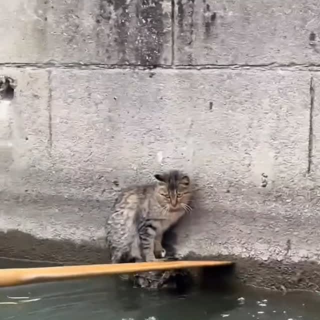  ...urre   'recent posts' 