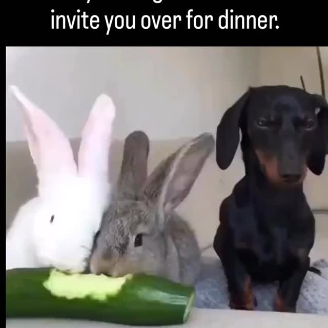  ..........nity.media   'recent posts' 