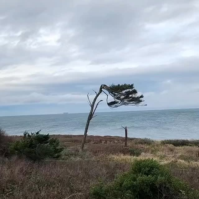  .....amemes   'recent posts' 