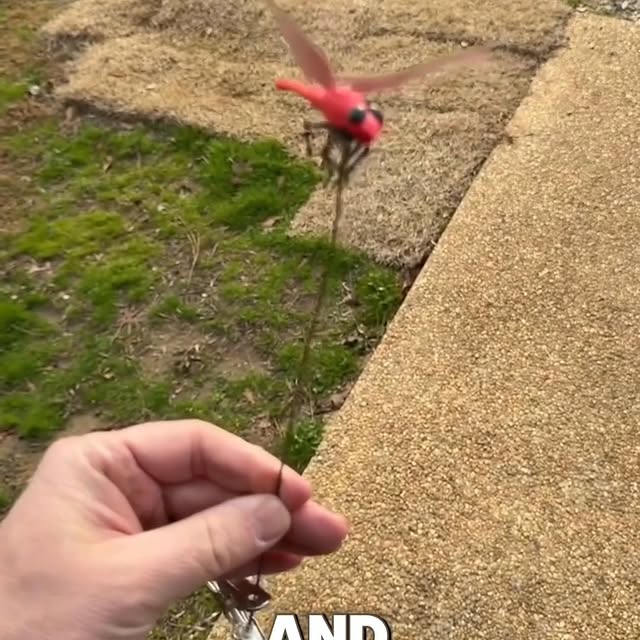  .....otrain   'recent posts' 