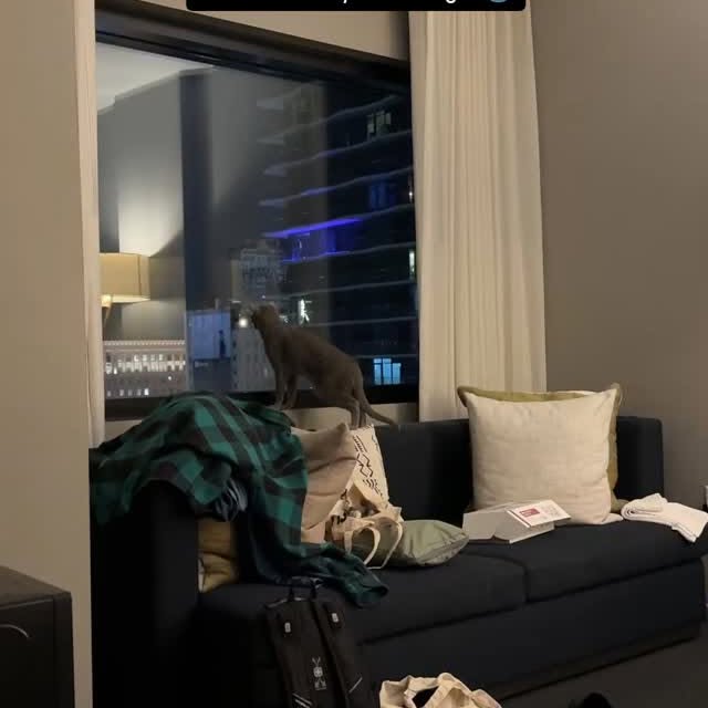  ......n_boris   'recent posts' 