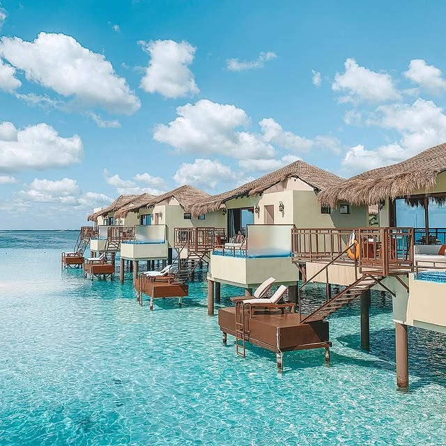  ........caribe   'recent posts' 